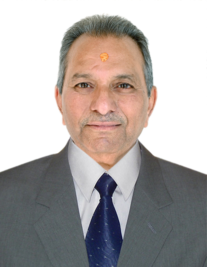 Shri Dinesh K Sakaria